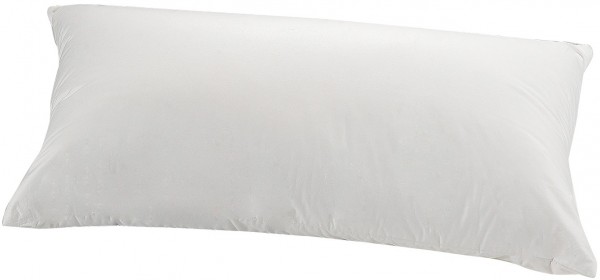 TRAUMINA PLUME BIO - 3 KAMMERN-DAUNEN-KISSEN